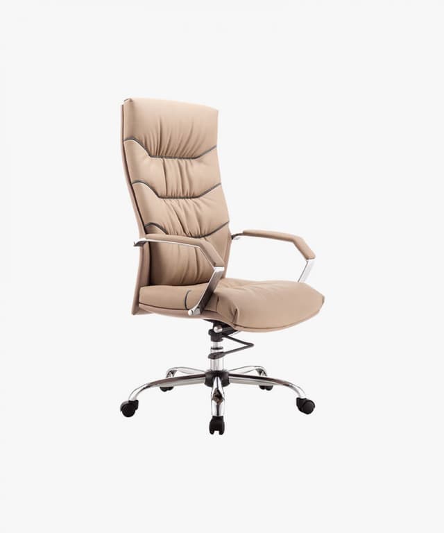 Comfort Lounge Chair